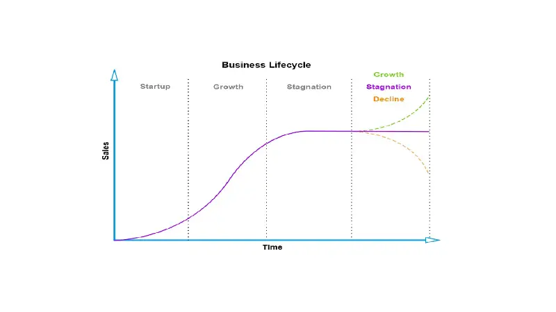 Illustration showing a business life cycle